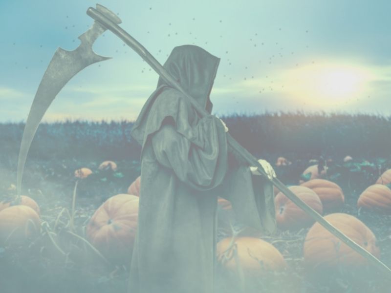 Blog-post Thumbnail